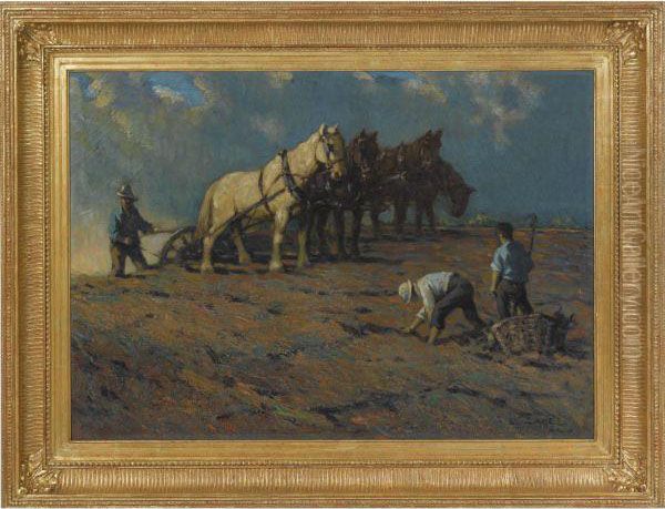 Plowing - view 1