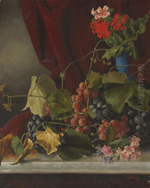 Still Life - view 1