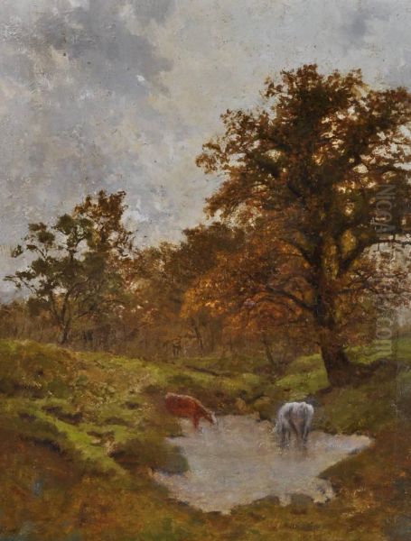 Cattle Watering In The Pond - view 1