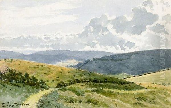 Untitled Landscape - view 1