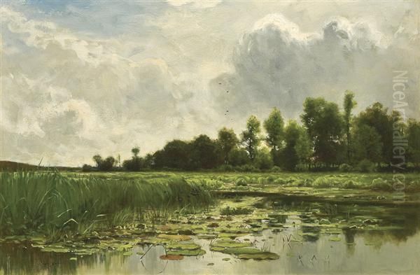 The Lily Pond - view 1