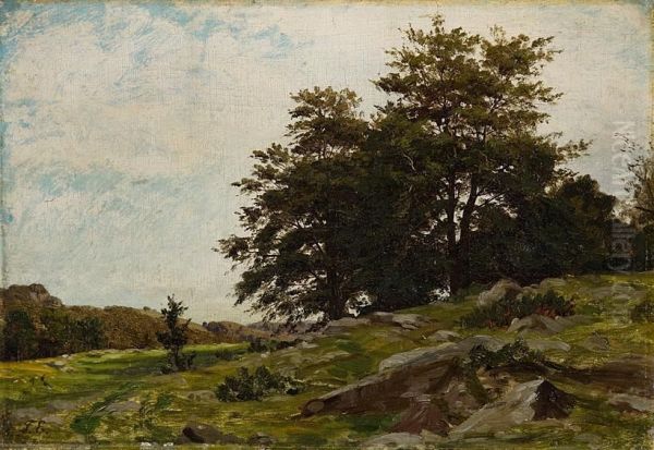 Sommerliche Rhonlandschaft. - view 1