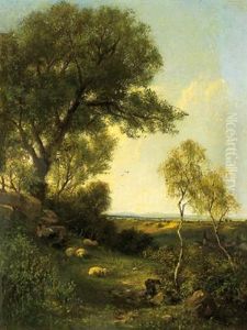 Weite Landschaft Mit Schafen Im Vordergrund