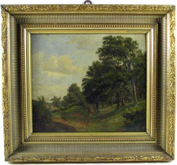Wooded Landscape - view 1