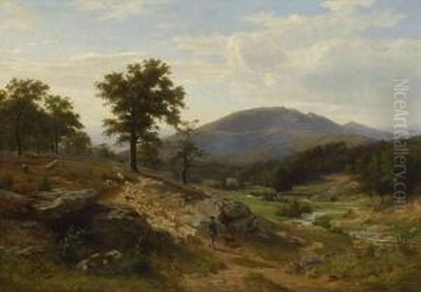 Sommerliche
Mittelgebirgslandschaft. - view 1