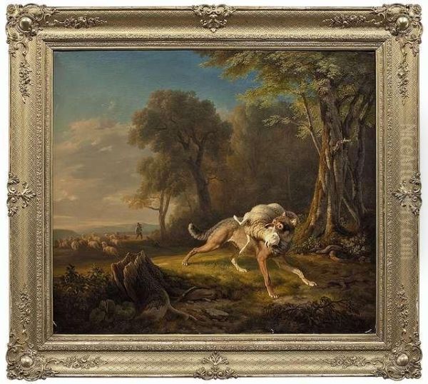 A Wolf Has Mauled A Sheep - view 1
