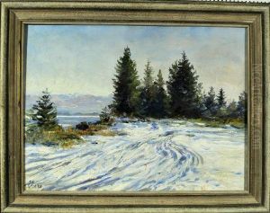 Starnberger Winterlandschaft Mit Tannen Und Blick Auf Die Alpen In Der Ferne by Hermann Ebers