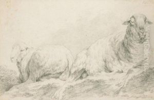 Due Pecore by Johann Christian Eckardt