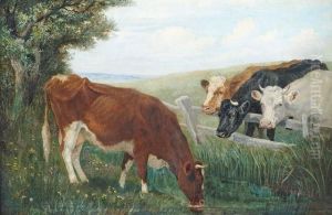 Vier Kuhe Am Weidezaun by Friedrich Eckenfelder