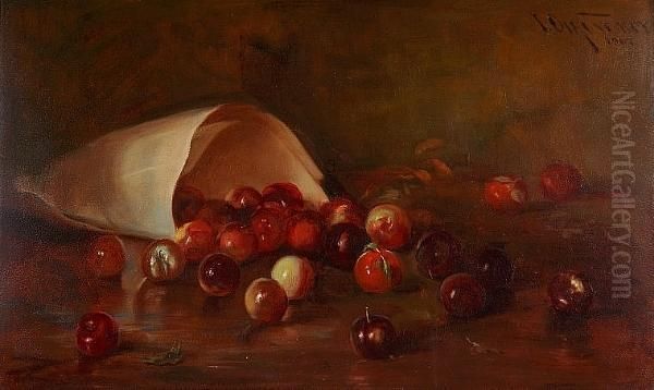 Still Life With Wild Plums - view 1