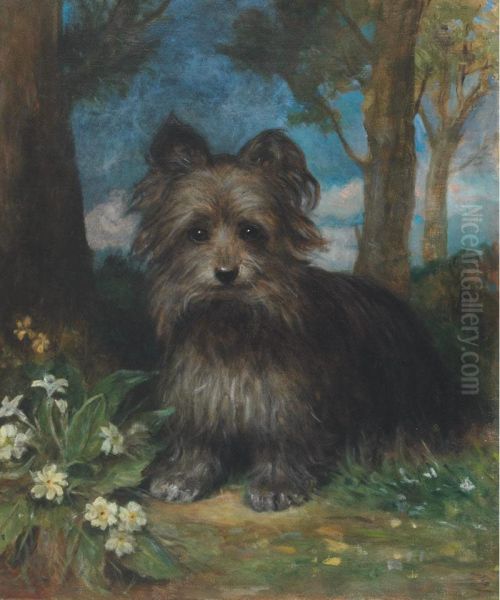 Roy The Terrier In A Wood - view 1