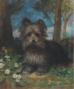 Roy The Terrier In A Wood