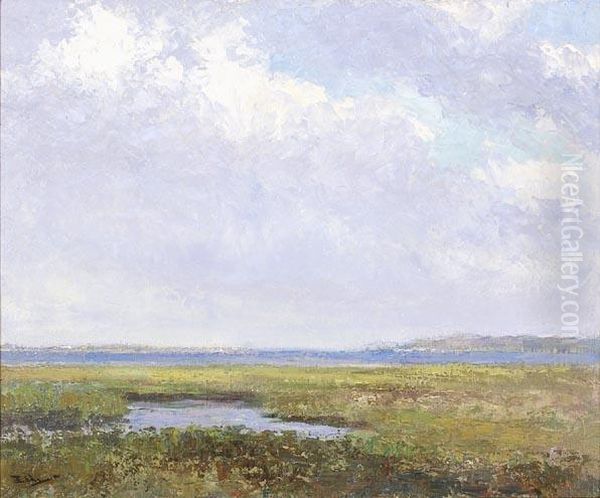 Nantucket Marshes - view 1