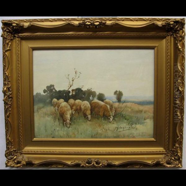 Grazing Sheep - view 1