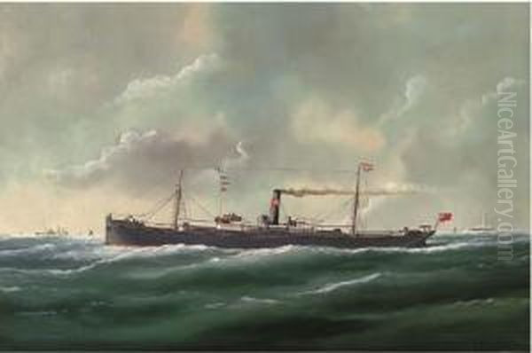 The General Cargo Steamer Agenoria At Sea - view 1