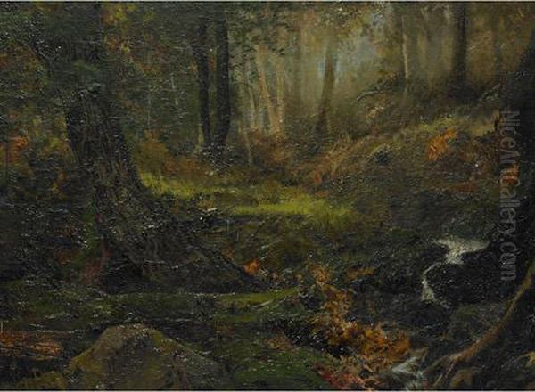 In A Boulton Forest - view 1