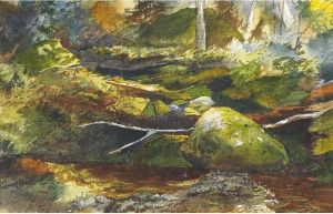 The Brook by Aaron Allan Edson