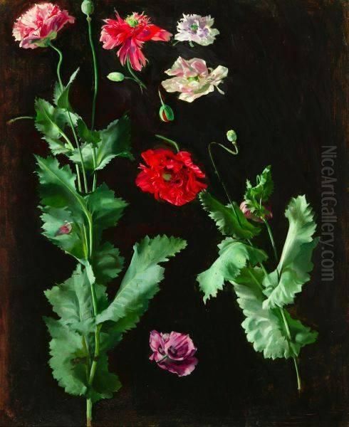 Study Of Flowers - view 1