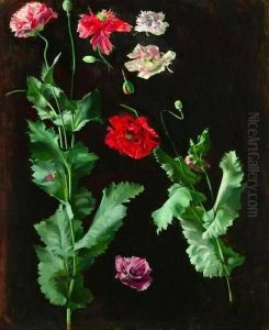 Study Of Flowers