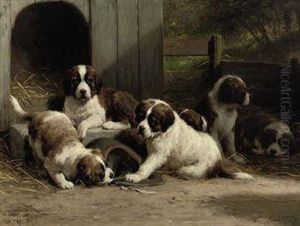 Saint-bernard Puppies by Otto Eerelman