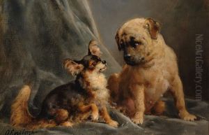 A Puppy And A Young Mastiff