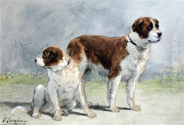 Two St Bernard Dogs - view 1