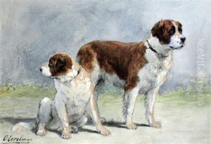 Two St Bernard Dogs