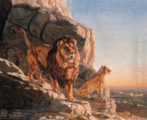 Lion And A Lioness On The Lookout On A Mountain by Urs Eggenschwiler