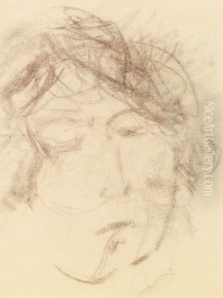 Signe - view 1