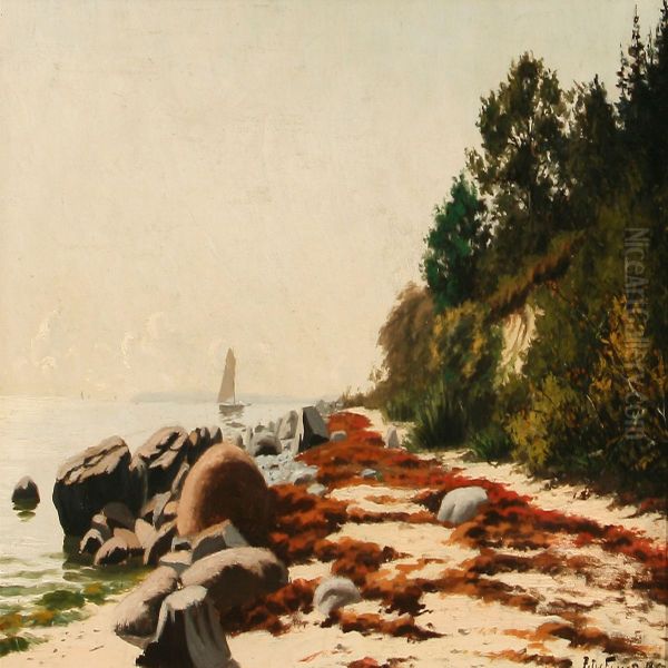 Seashore - view 1