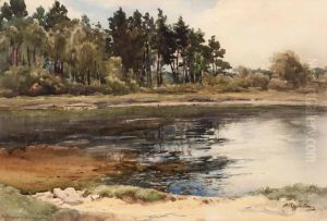 The Bridge Pool by Wycliffe Egginton