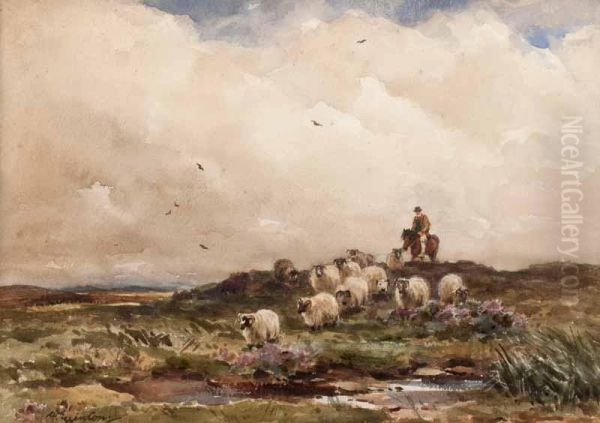 Driving Sheep - view 1