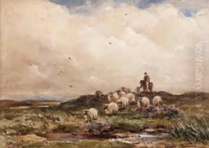 Driving Sheep by Wycliffe Egginton