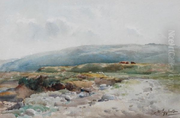 'taw Marsh - view 1