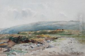 'taw Marsh by Wycliffe Egginton
