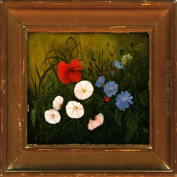 A Study Of Wild Flowers - view 1