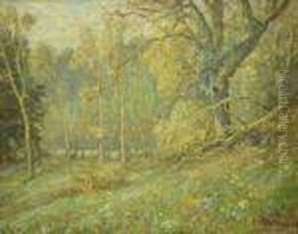 Awoodland Glade In Spring - view 1