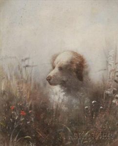 Dog In A Field Of Wild Flowers.
