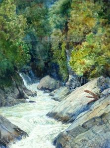 The Gallery Gorge, Whiao, Franz Josef Glacier by Eduard (david) Einschlag