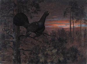Gluszec by Stanislaw Ejsmond
