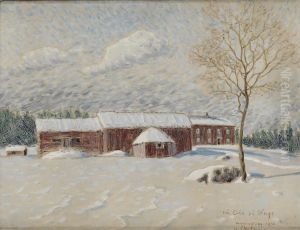 Nar Ola Pa Hage by Alfred Ekstam