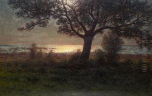 Solnedgang Over Olandsk Strand by Per Ekstrom
