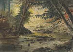 Forest Stream by Gibeon Elden Bradbury