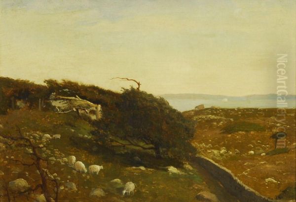 Naushon Island - view 1