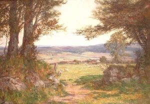 Sheep Grazing Beyond A Gate
