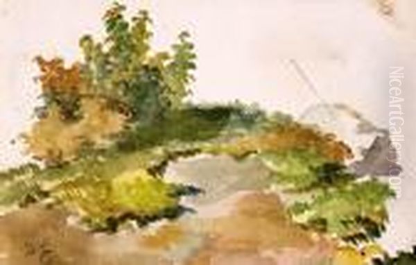 Dziewiec Akwarel: - view 1