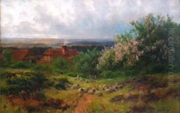 Rural View With Sheep - view 1