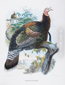 The New And Heretofore Unfigured Species Of The Birds Of North America. by Daniel Giraud Elliot