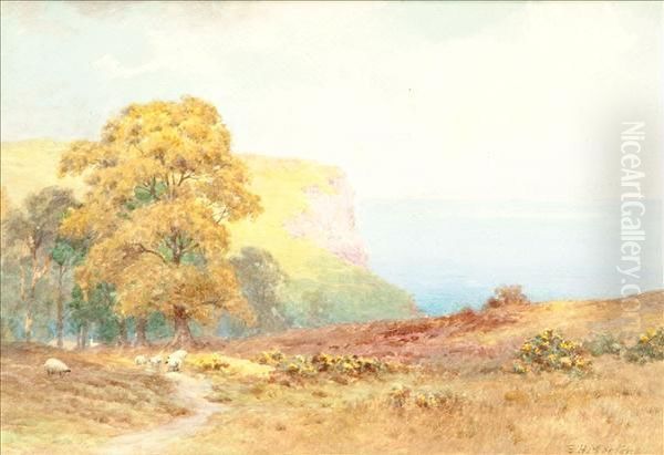 Near Salcombe - view 1