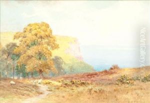 Near Salcombe Near Salcombe
